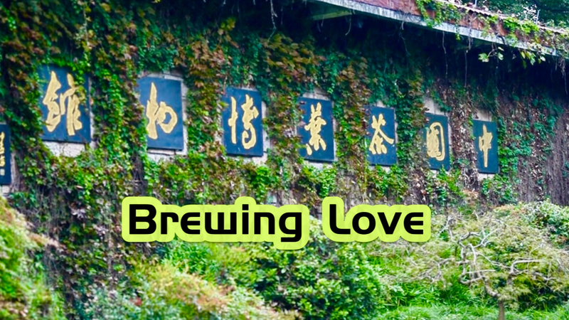 U_S__Officials_Brew_Cross_Cultural_Ties_at_Chinese_Tea_Museum video poster