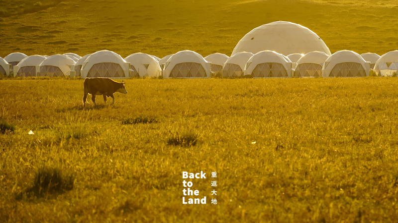 Ulanqab_Grasslands__Rhythm_of_Life_in_Herds - My Global News: Voices of a New Era Ulanqab_Grasslands__Rhythm_of_Life_in_Herds