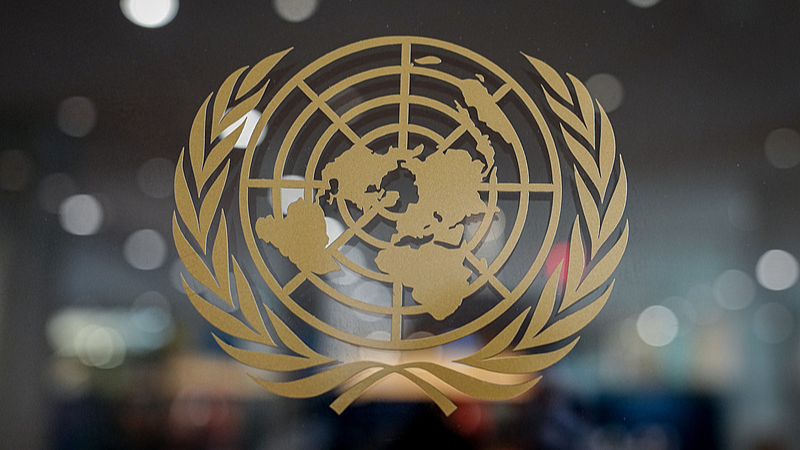 Wuhan_Seminar_Marks_UN_s_80th_with_Spotlight_on_Resolution_2758