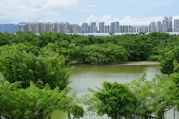 Discover Bird Paradise: Jiangmen’s Avian Haven in Guangdong video poster