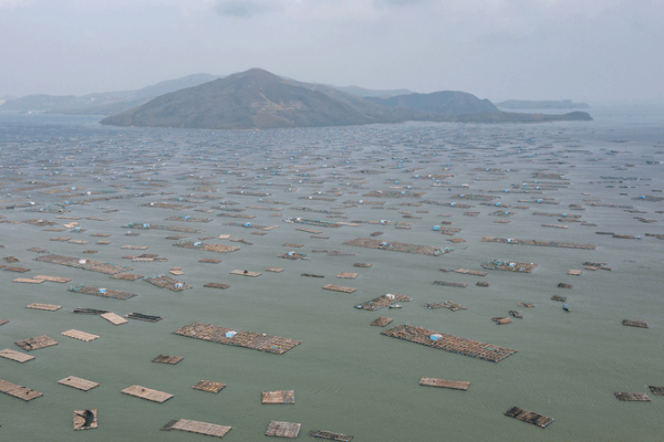 Vietnam’s South-Central Region Hit by Worst Floods in 50 Years
