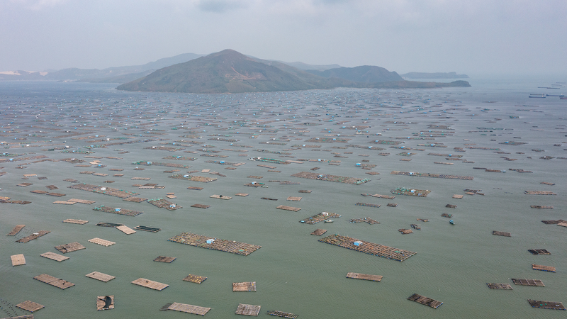 Vietnam’s South-Central Region Hit by Worst Floods in 50 Years