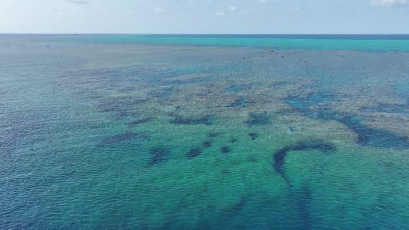 2025_Ecological_Report_Reveals_Health_of_Huangyan_Dao_Waters - My Global News: Voices of a New Era 2025_Ecological_Report_Reveals_Health_of_Huangyan_Dao_Waters