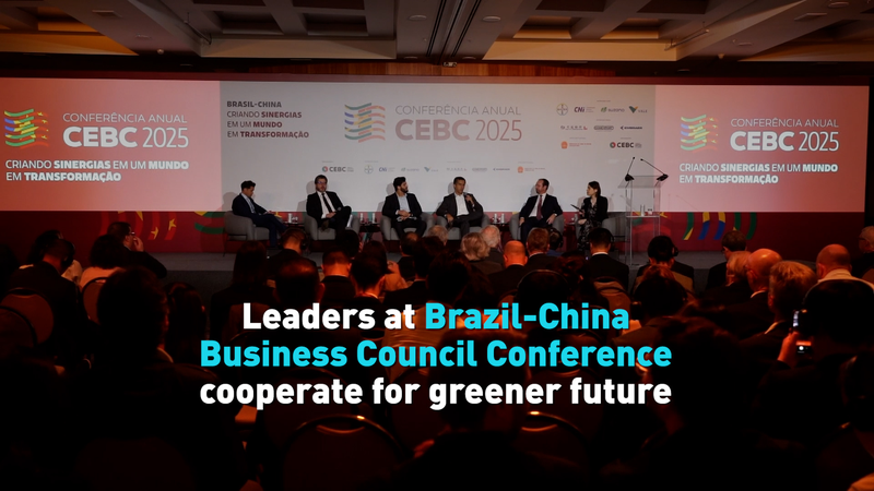 São Paulo Summit: Brazil and China Unite for Clean Energy video poster