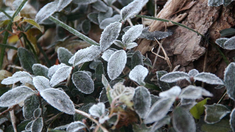 3_Back_to_Back_Cold_Waves_to_Chill_the_Chinese_Mainland - My Global News: Voices of a New Era 3_Back_to_Back_Cold_Waves_to_Chill_the_Chinese_Mainland