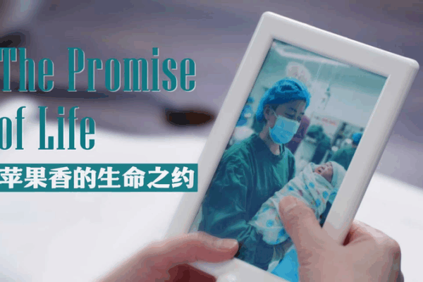 From Suzhou to Khorgos: Dr. Song’s Frontier Birth Clinic Ignites Hope video poster
