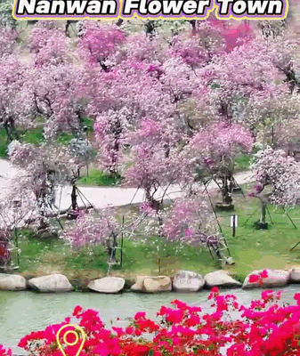 Inside Hainan’s Nanwan Flower Town: A Living 'Monet Garden' video poster