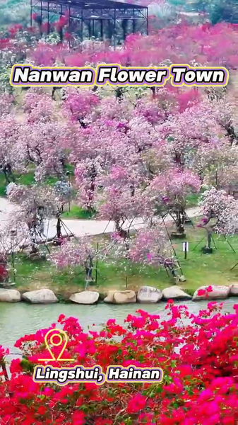 Inside Hainan’s Nanwan Flower Town: A Living 'Monet Garden' video poster