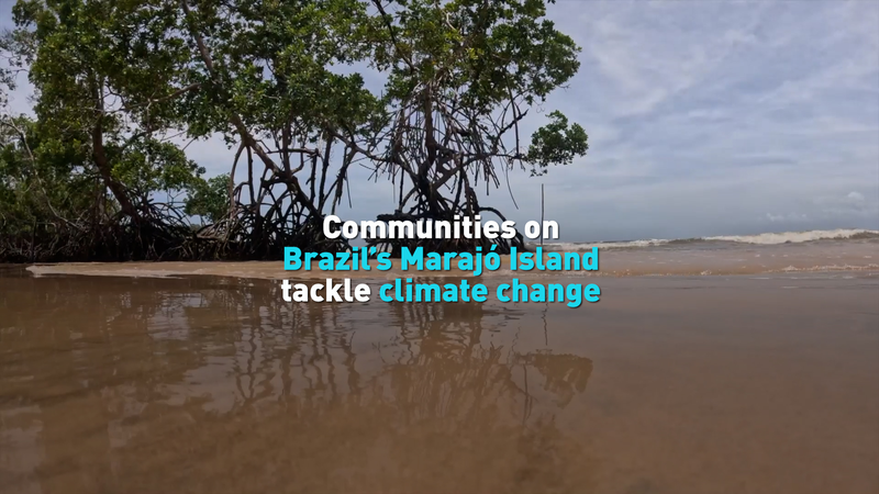 ATC70SY2B7OXS3SMWTQQ - My Global News: Voices of a New Era Marajó Island Communities Adapt to Rising Seas video poster