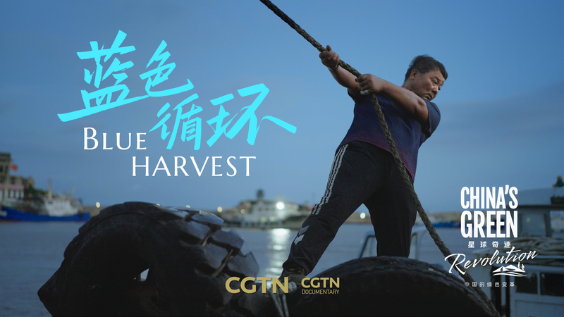 Zhejiang’s Blue Circle: Turning Ocean Plastic into Opportunity video poster