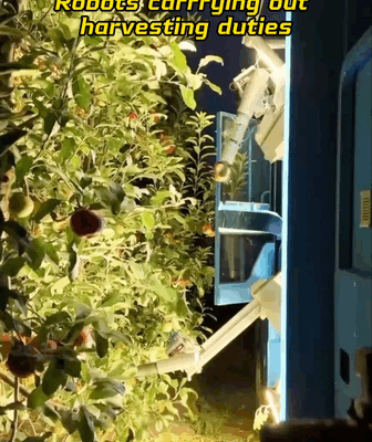 Agri_Bots_Become__Super_Helpers__in_Orchard_Harvests video poster