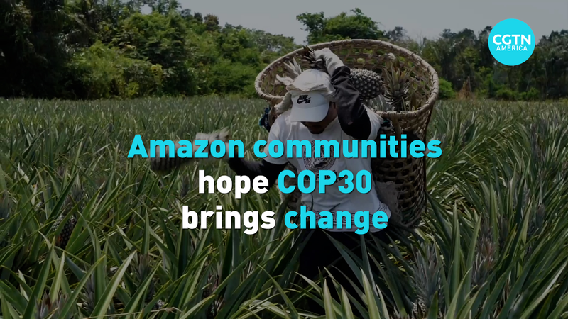 Amazon_Communities_Pin_Hopes_on_COP30_for_Forest_Future video poster