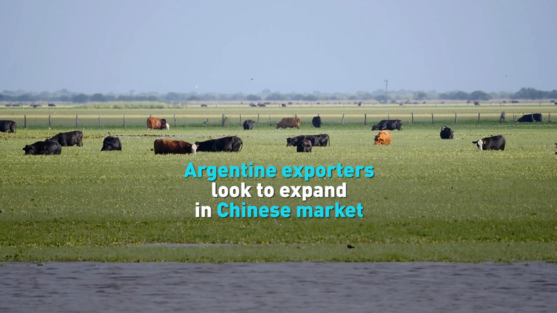 Argentine_Exporters_Tap_Into_Chinese_Mainland_Market_Surge video poster