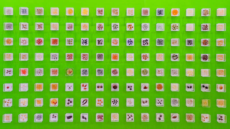 Beijing_Leads_Global_Effort_in_Crop_Germplasm_Preservation - My Global News: Voices of a New Era Beijing_Leads_Global_Effort_in_Crop_Germplasm_Preservation