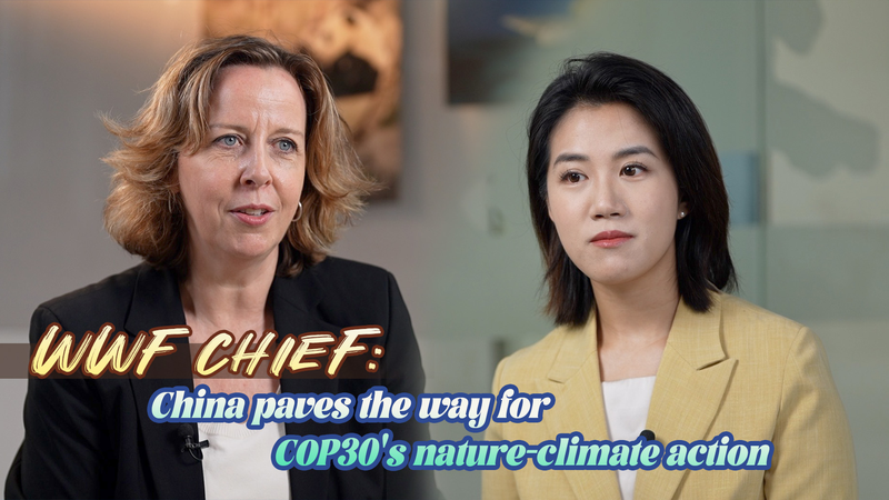 At COP30 in Brazil, WWF Hails China’s Nature-Climate Blueprint video poster
