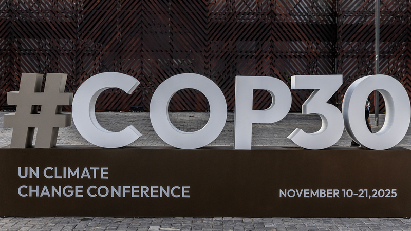 China_Urges_Global_Action_to_Safeguard_Tropical_Rainforests - My Global News: Voices of a New Era China_Urges_Global_Action_to_Safeguard_Tropical_Rainforests