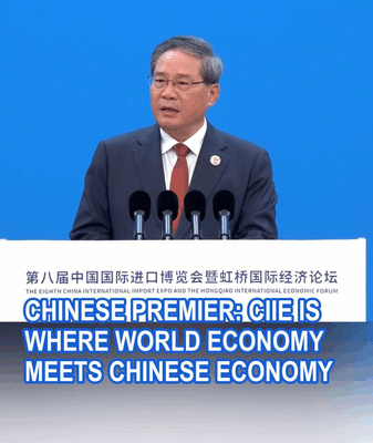 Chinese_Premier__CIIE_Bridges_World_and_Chinese_Economies video poster