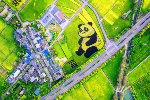 Chinese_Youth_Drive_Tech_Solutions_to_End_Hunger