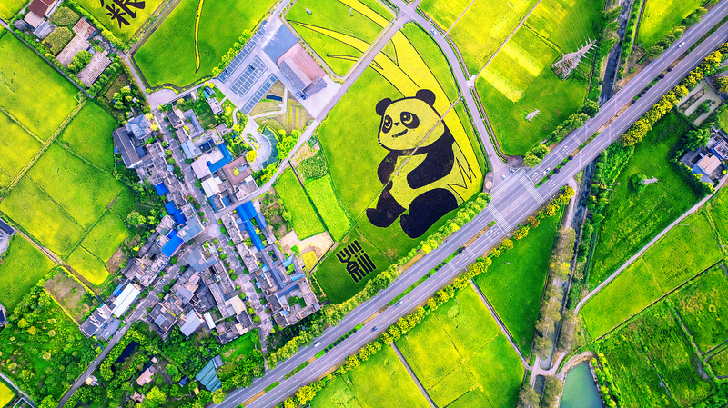 Chinese_Youth_Drive_Tech_Solutions_to_End_Hunger