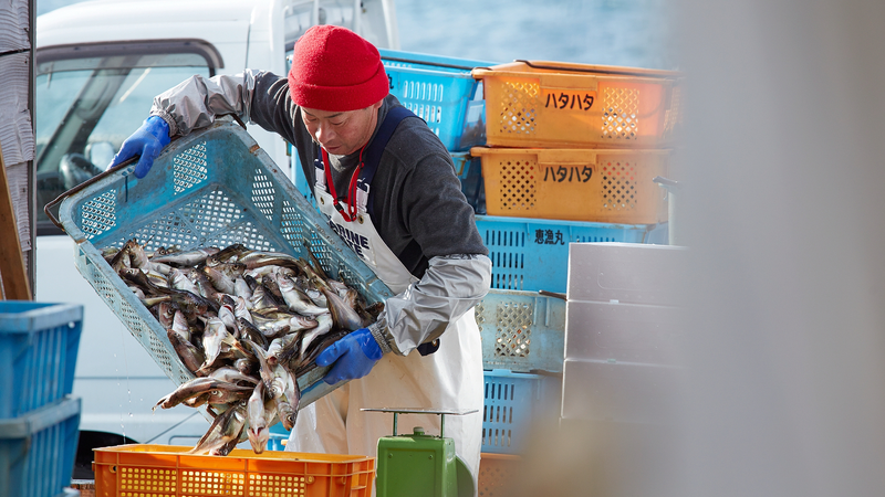 Escalating_China_Japan_Tensions_Strain_Okinawa_Fishermen_s_Livelihoods video poster