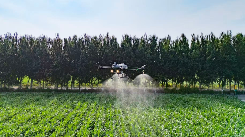 Smart Farming Fuels Bountiful Harvest in the Chinese Mainland’s Jilin County