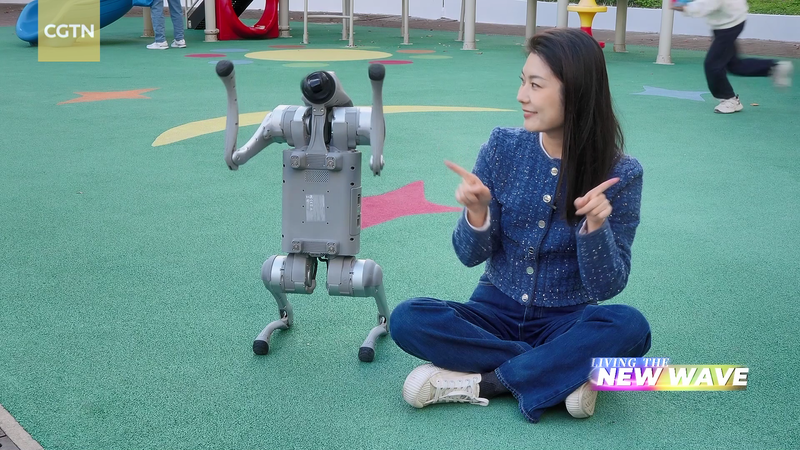 From_Plush_Friends_to_Holograms__AI_Companionship_Hits_Home_poster - My Global News: Voices of a New Era From_Plush_Friends_to_Holograms__AI_Companionship_Hits_Home video poster