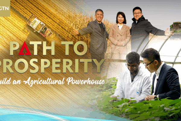 From_Seed_to_Prosperity__Chinese_Mainland_Ag_Tech_Transformation video poster
