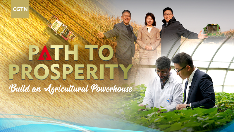 From_Seed_to_Prosperity__Chinese_Mainland_Ag_Tech_Transformation video poster