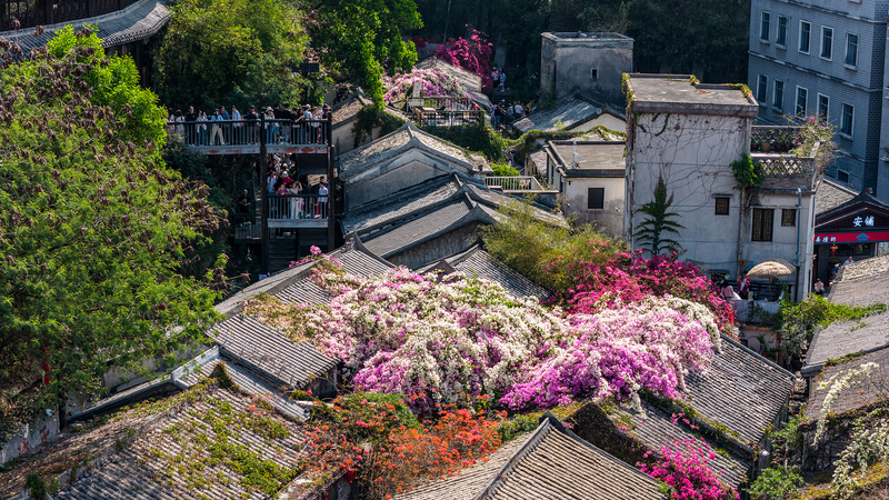 Gankeng_Hakka_Town__Where_300_Years_of_Hakka_Heritage_Meet_the_15th_National_Games_poster - My Global News: Voices of a New Era Gankeng_Hakka_Town__Where_300_Years_of_Hakka_Heritage_Meet_the_15th_National_Games video poster