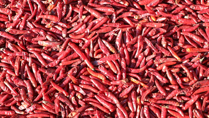 Gel_Based__Chili_Meter__Offers_Quick__Precise_Spiciness_Readings