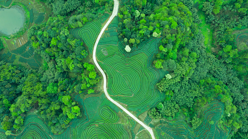 Global_Impact_of_Xi_Jinping_Thought_on_Ecological_Civilization