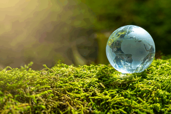 Global_Poll_Urges_Urgent_Action_as_Paris_Agreement_Marks_10th_Anniversary