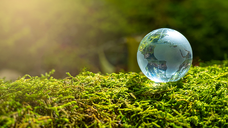 Global_Poll_Urges_Urgent_Action_as_Paris_Agreement_Marks_10th_Anniversary