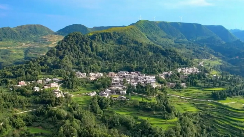 How_Anji_County_Became_a_Model_of_Green_Growth - My Global News: Voices of a New Era How_Anji_County_Became_a_Model_of_Green_Growth