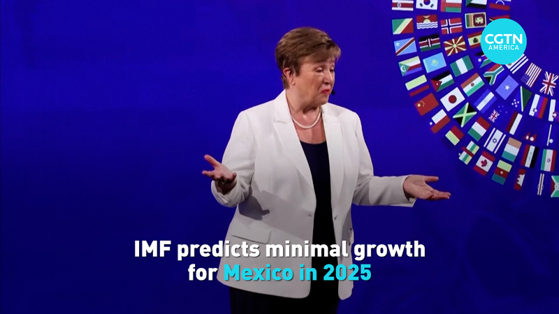 IMF_Warns_of_Minimal_Growth_for_Mexico_in_2025 video poster