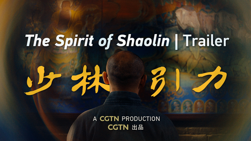 Inside__The_Spirit_of_Shaolin___The_Peace_Behind_Kung_Fu video poster