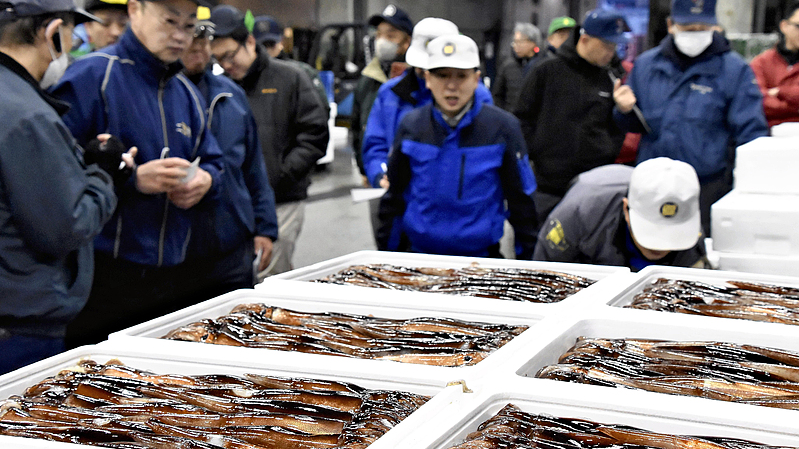 Japanese_Fisheries_Raise_Export_Alarm_After_PM_s_Controversial_Remarks