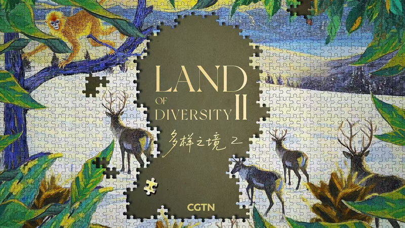 Land_of_Diversity_II__Humans_and_the_Biosphere_s_Shared_Future video poster
