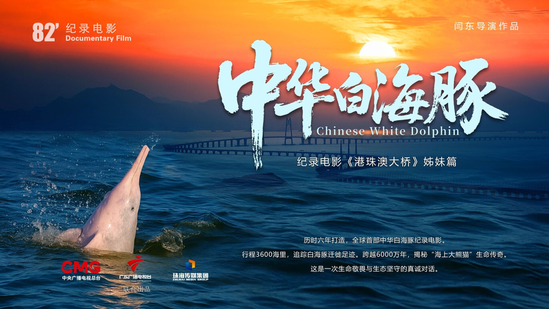 New_Chinese_White_Dolphin_Documentary_Debuts_Dec__12