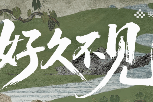 New_Documentary_Talk_Show__Long_Time_No_See__Serves_Up_Stories_of_Modern_China video poster