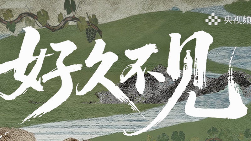 New_Documentary_Talk_Show__Long_Time_No_See__Serves_Up_Stories_of_Modern_China video poster