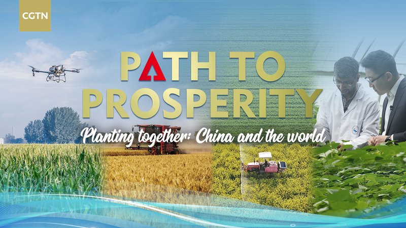 Planting_Together__The_Chinese_mainland_s_Global_Ag_Collaborations_poster - My Global News: Voices of a New Era Planting_Together__The_Chinese_mainland_s_Global_Ag_Collaborations video poster
