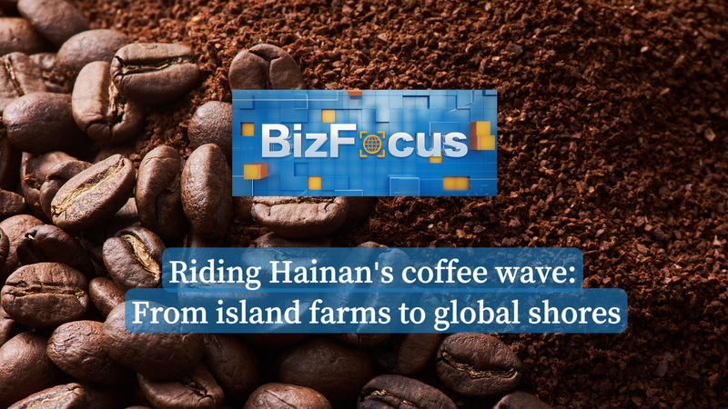Hainan’s Coffee Revolution: From Local Fields to Global Markets video poster