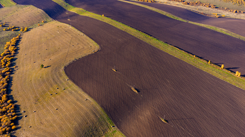 Reviving_China_s_Black_Soil__Farming_Innovations_Secure_Future_Harvests