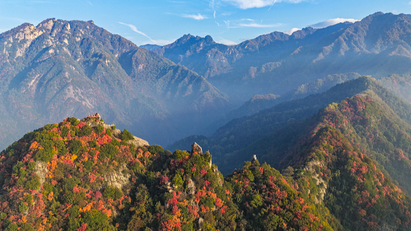T3IZBTMW6CS5S1SP2D9T - My Global News: Voices of a New Era Cuihua Mountain: Northwest China’s Breathtaking Natural Oxygen Bar video poster