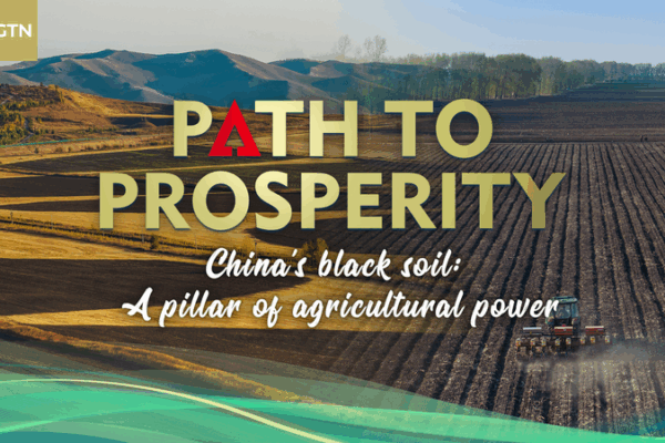 Chinese Mainland’s Black Soil: Pillar of Agricultural Power video poster