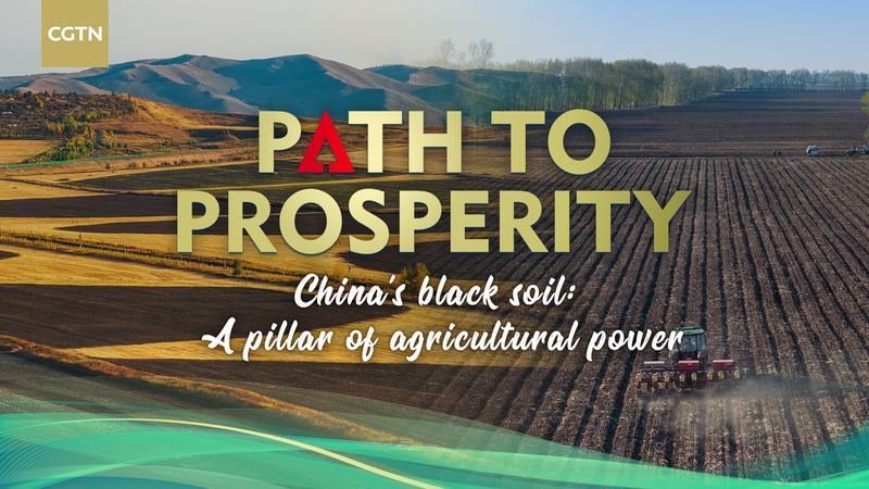Chinese Mainland’s Black Soil: Pillar of Agricultural Power video poster