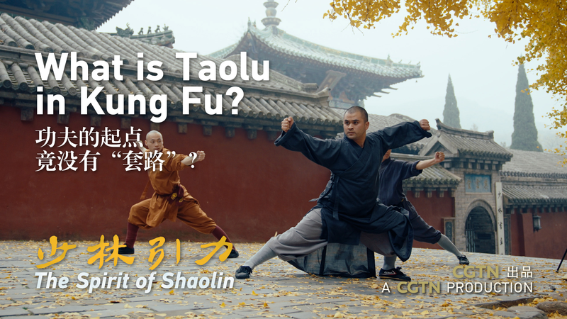Taolu_in_Shaolin_Kung_Fu__The_Art_of_Choreographed_Combat_poster - My Global News: Voices of a New Era Taolu_in_Shaolin_Kung_Fu__The_Art_of_Choreographed_Combat video poster