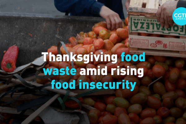 Thanksgiving_Feast_Fuels_U_S__Food_Waste_Amid_Rising_Hunger video poster