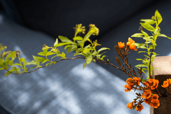 The_Subtle_Art_of_Noticing_Everyday_Life_in_the_Chinese_Mainland